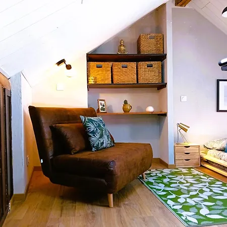Appartement Le Reve De L'Ours à Annecy Extérieur photo